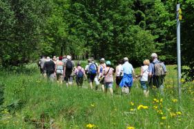 Wandelvakantie Lermoos Cracks Wolvertem  juni 2015