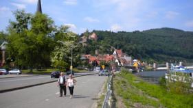 Heidelberg & Neckardal juni 2011