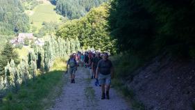 Wandelvakantie Zwarte Woud : Juli 2017