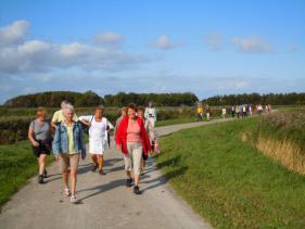 Friesland met Cracks Wolvertem september 2011
