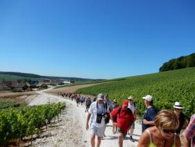 Balade Champenoise : juni 2016