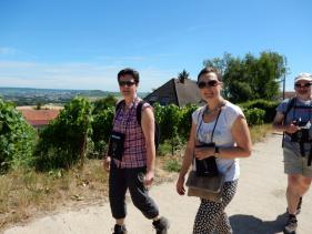 Balade Champenoise : juni 2016