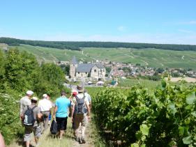 Balade Champenoise : juni 2016
