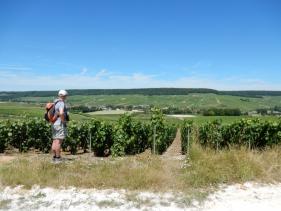 Balade Champenoise : juni 2016