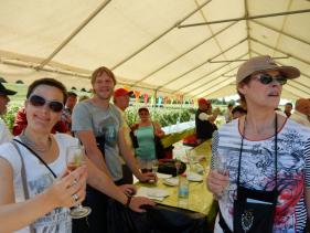 Balade Champenoise : juni 2016