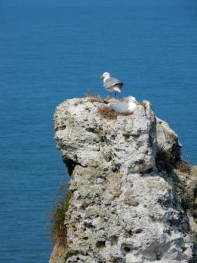 Wandelvakantie Normandie  juli 2016