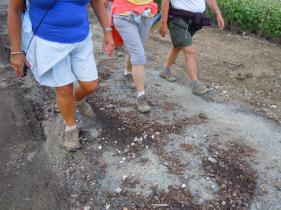 Champagne met Cracks Wolvertem  juni 2013