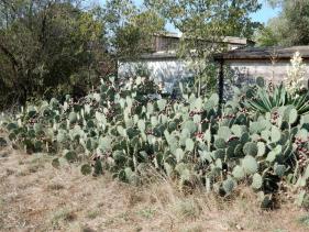 Wandelvakantie Provence : Kadees Aalst september 2018