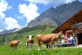 Salzburgerland met Cracks Wolvertem  juni 2016