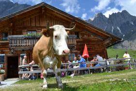 Salzburgerland met Cracks Wolvertem  juni 2016