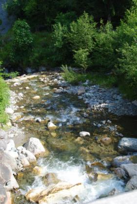 Tirol Wildschonau  juli 2013