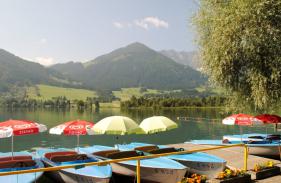 Tirol Wildschonau  juli 2013