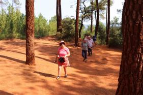 Wandelen en genieten Provence : augustus 2018