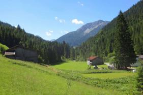 Tirol Berwangertal : juli 2017
