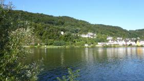 Wijnfeest Moezel : Augustus 2017