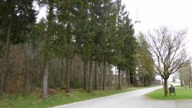 Lente in Zuid Eifel : April 2016