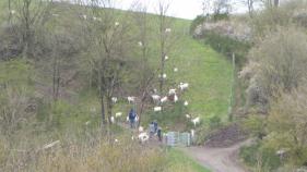 Lente in Zuid Eifel : April 2016