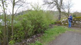 Lente in Zuid Eifel : April 2016