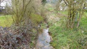 Lente in Zuid Eifel : April 2016