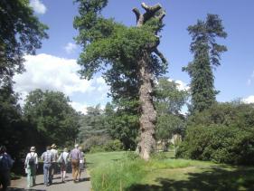 Graafschap Kent : juni 2017