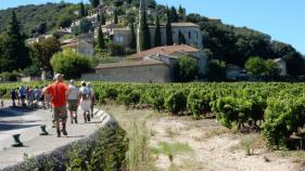 Wandelen en genieten Provence : augustus 2018