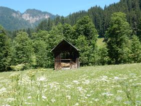 wandelvakantie Wildschönau : juli 2019