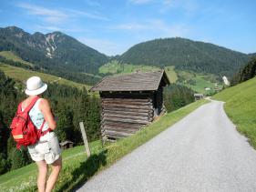 wandelvakantie Wildschönau : juli 2019