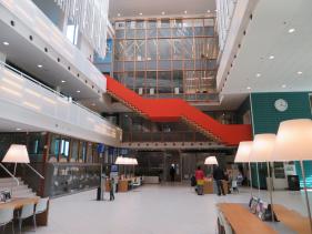 Hoge Veluwe : oktober 2019