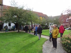 Hoge Veluwe : oktober 2019