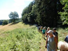 Wandelvakantie Zuid Eifel : juli 2020
