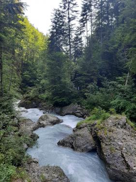 Wandelen en genieten in Vorarlberg : juli 2021