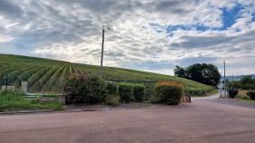 Moeders Verwenweekend in de Champagne: augustus 2021
