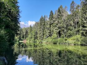 Wandelvakantie 3 dalen Tirol : augustus 2022