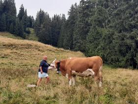 Tirol Wildschönau met Cracks Wolvertem : september 2022