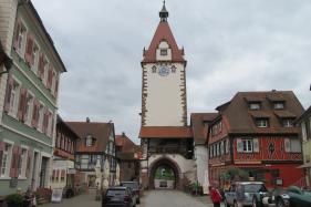 Zwarte Woud : mei 2023