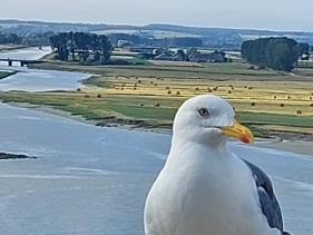 Wandelvakantie Baai Mont Saint-Michel : augustus 2023