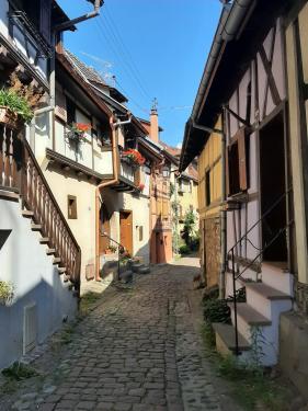 Wandelvakantie : Elzas juli 2024