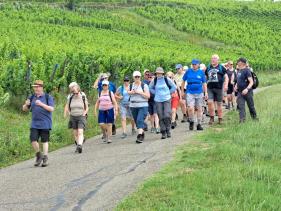 Wandelvakantie : Elzas juli 2024