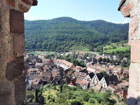 Wandelvakantie : Elzas juli 2024