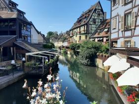 Wandelvakantie : Elzas juli 2024