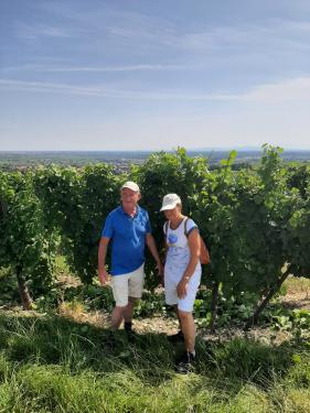 Wandelvakantie : Elzas juli 2024