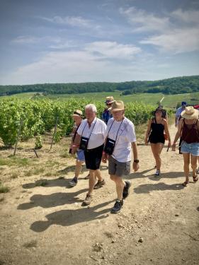 Balade Champenoise : juni 2025
