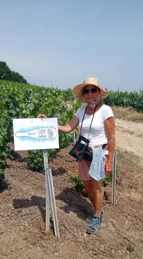 Balade Champenoise : juni 2025