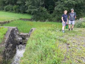 Wandelvakantie Zillertal  juli 2025