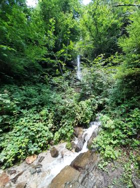 Wandelvakantie Zillertal  juli 2025