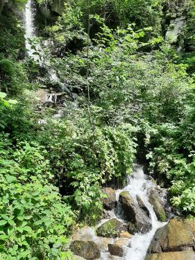 Wandelvakantie Zillertal  juli 2025