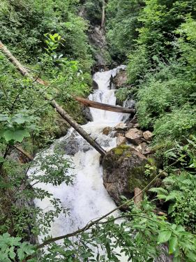Wandelvakantie Zillertal  juli 2025