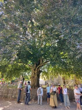 Ile de France: Kunst en Cultuur: augustus 2025