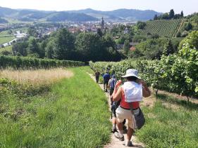 Wandelvakantie Zwarte Woud : augustus 2025