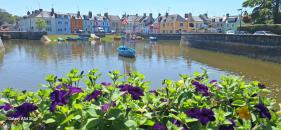 Ierland (met mini-cruise via Frankrijk): juli 2026